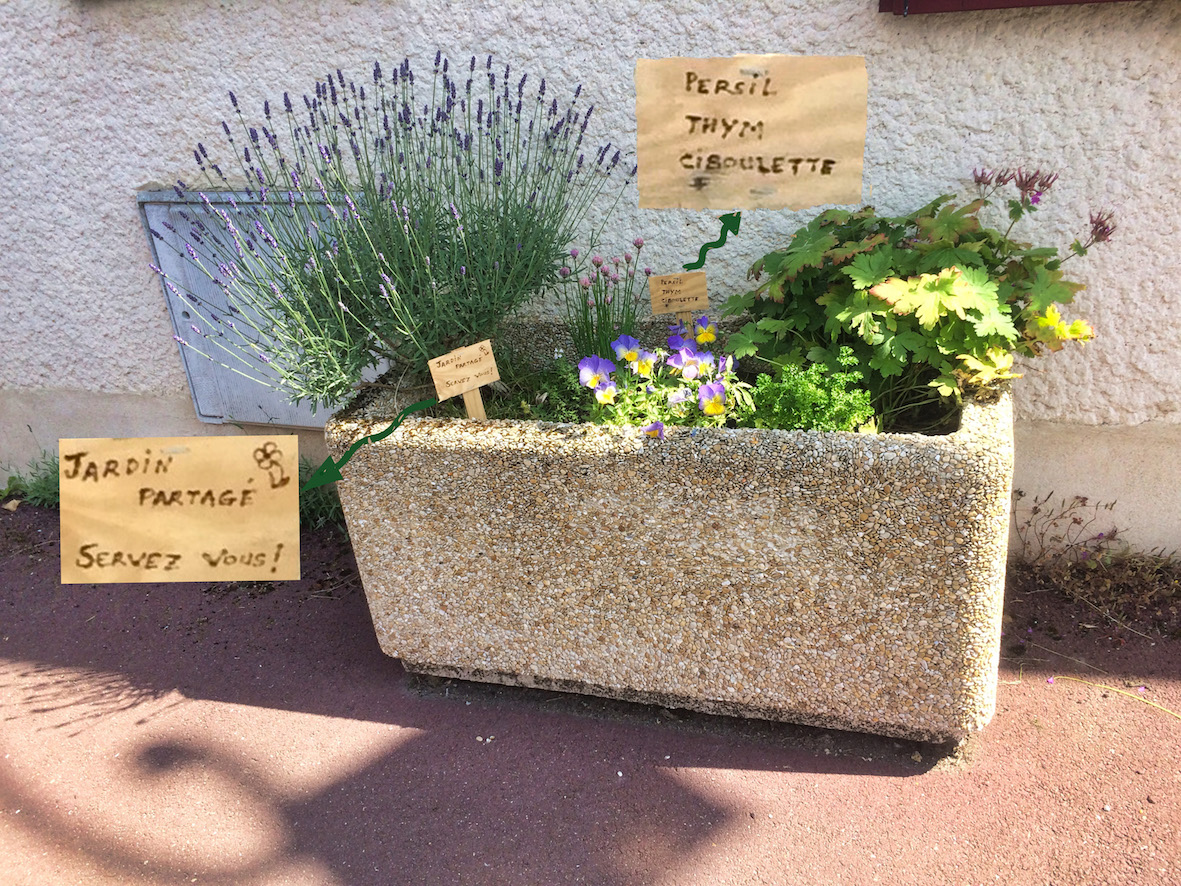 Jardin_partagé.jpg
